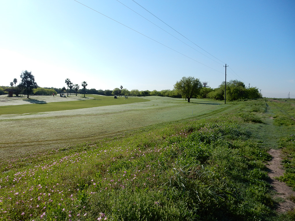 Golf course with trees in background