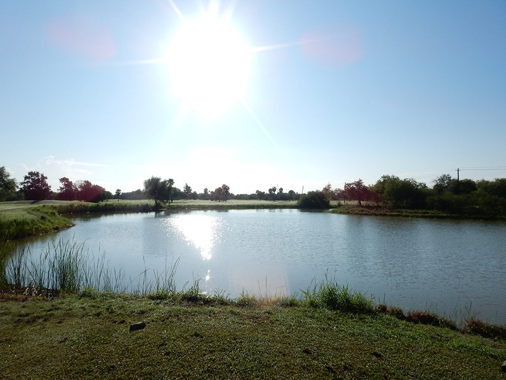 Golf course with sun reflecting on pond
