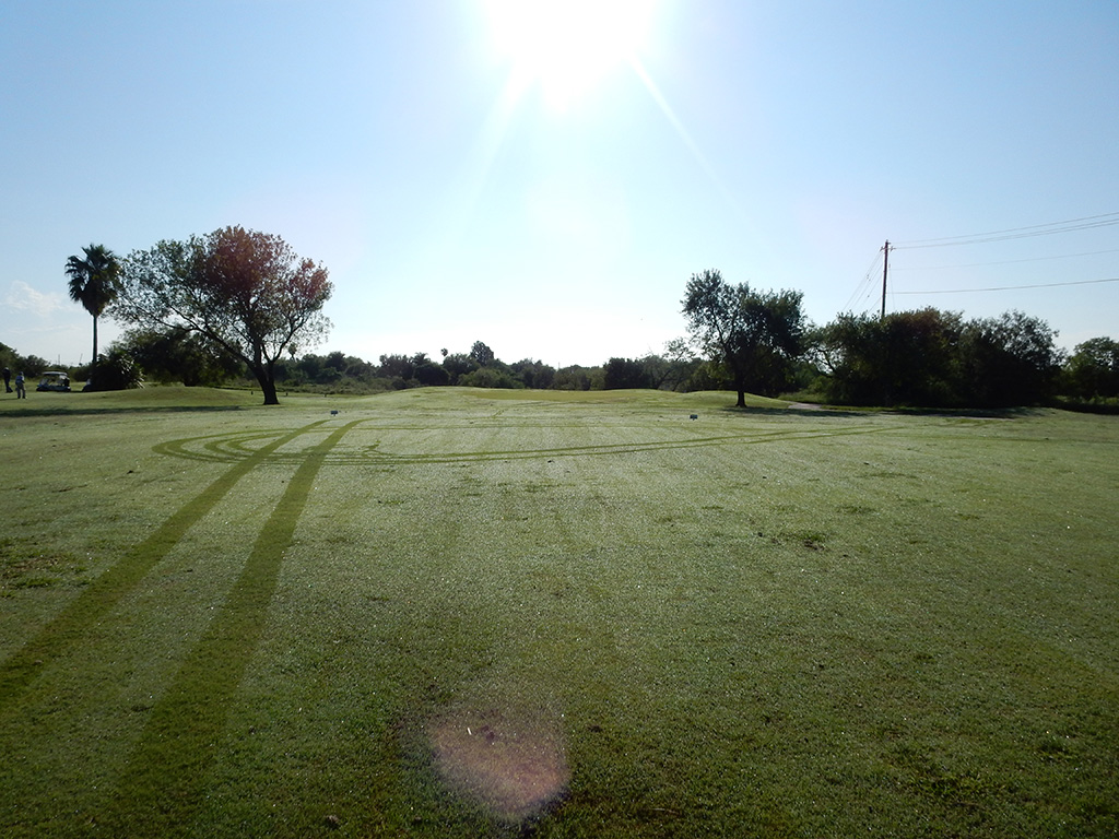 Golf Course green with bright sunlight