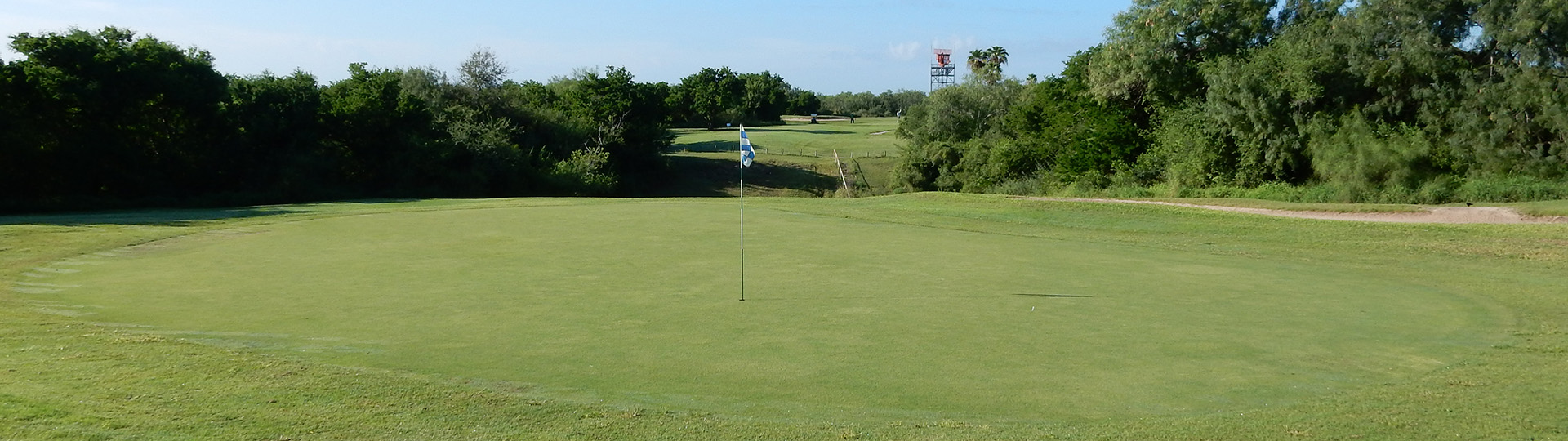 Golf course green with trees